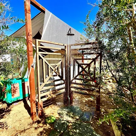 Popular Homestead! Location, Stargaze, Views! Joshua Tree Exterior foto