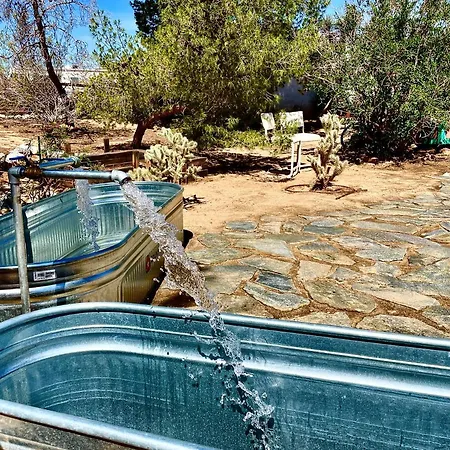 Popular Homestead! Location, Stargaze, Views! Joshua Tree Exterior foto