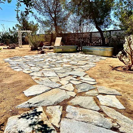 Popular Homestead! Location, Stargaze, Views! Joshua Tree Exterior foto