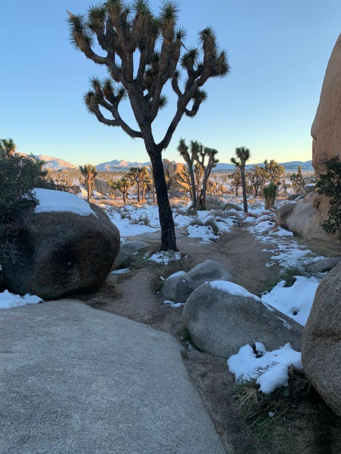 Popular Homestead! Location, Stargaze, Views! Apartment *