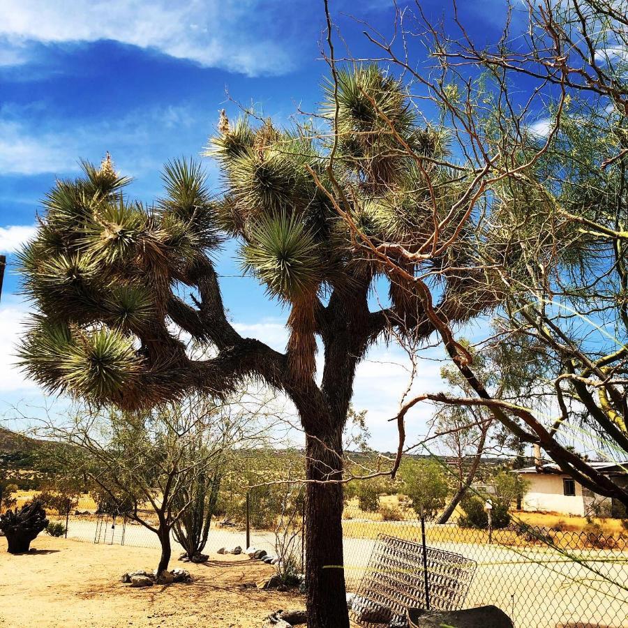 Popular Homestead! Location, Stargaze, Views!